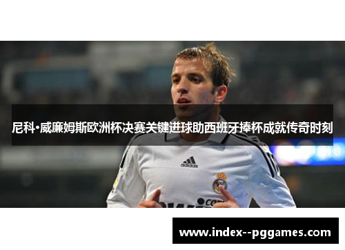 尼科·威廉姆斯欧洲杯决赛关键进球助西班牙捧杯成就传奇时刻 尼科·威廉姆斯欧洲杯决赛关键进球助西班牙捧杯成就传奇时刻